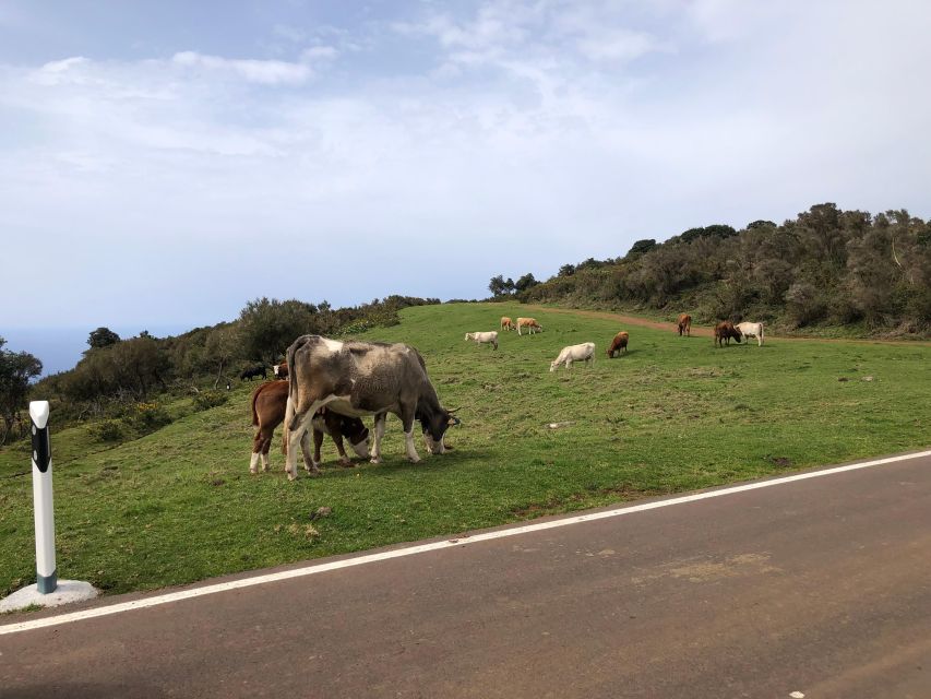 West Safari - The natural pool Porto Moniz Open Roof Jeeps - Waterfalls and Seixal black sand: closing the loop on the west