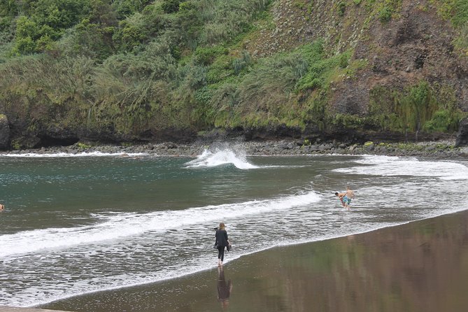West Tour - 4x4 (Small Group) - Praia da Ribeira Brava, then Laurissilva forest at Fanal