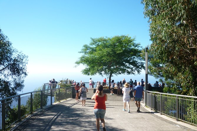 West Tour - Ribeira Brava: Banana Plantations and Village Views
