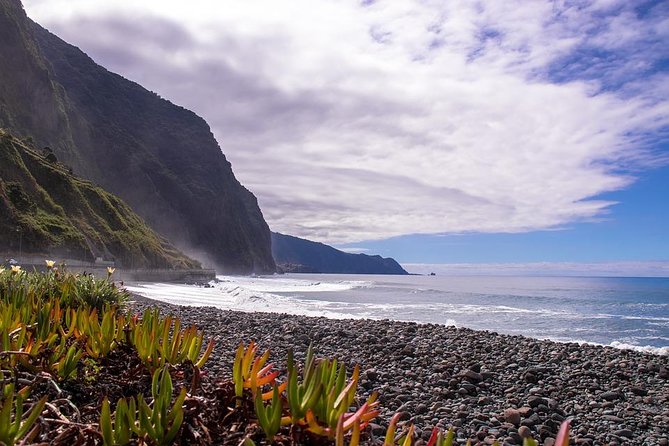 West Tour-Fanal Forest & Porto Moniz Natural Pools Small Groups - Stop 2: Ribeira Brava Farmers Market Time