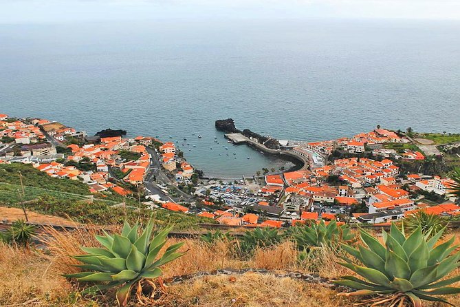 West Tour-Fanal Forest & Porto Moniz Natural Pools Small Groups - The Real Value: A Local Guide Who Makes the Stops Mean Something