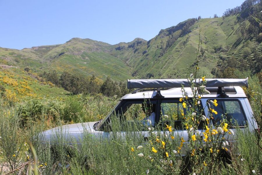 West Tour Full day 4x4 Jipe Tour Natural Swimming Pools - Key Things To Know Before You Go