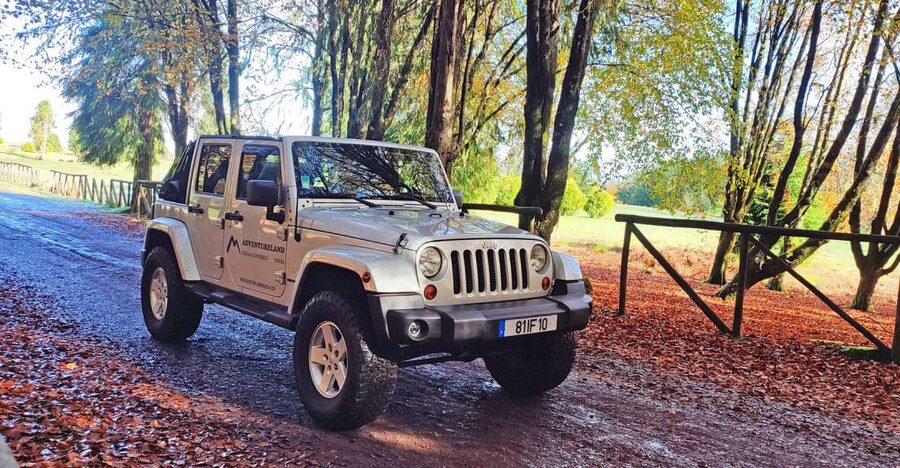 West tour - Porto Moniz VIP 4X4 Wrangler Tour 8h trip - Key things to love about this Madeira West 4x4 day