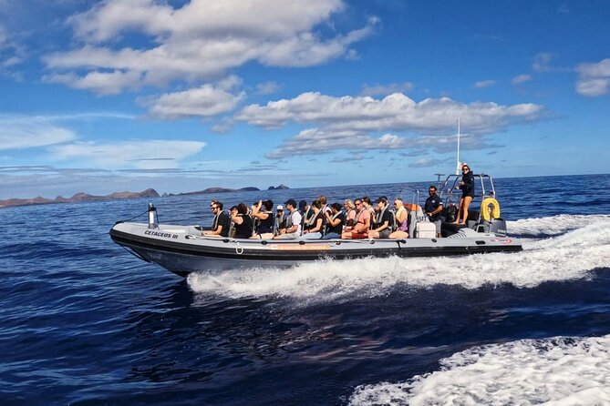 Whale and Dolphin Watching Tour from Funchal - Boat Comfort, Motion, and Seasickness Reality Check