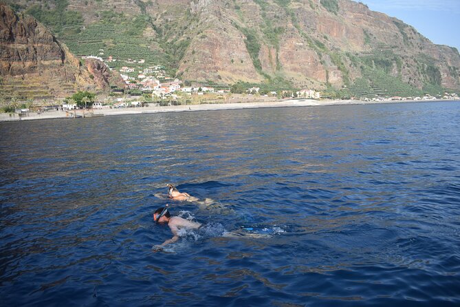 Whale and Dolphin Watching Tour in Madeira - What You Get Onboard: Comfort, Towels, Refreshments, and the Little Wins