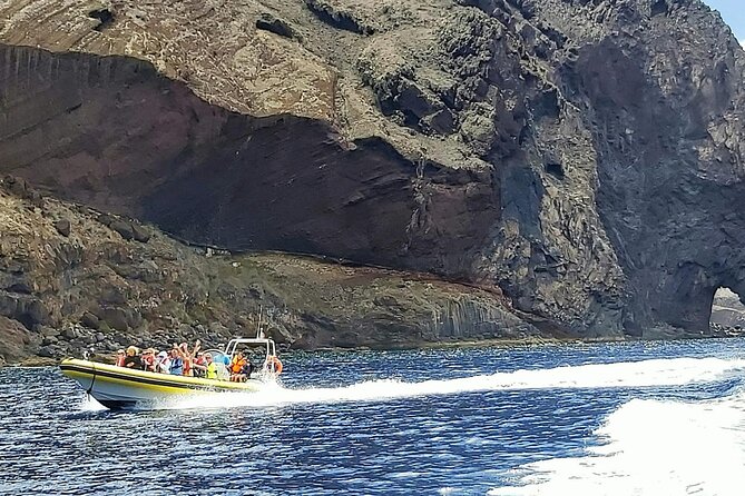 Whale & Dolphin Watching in Madeira - What’s included, what’s not, and how to plan your budget