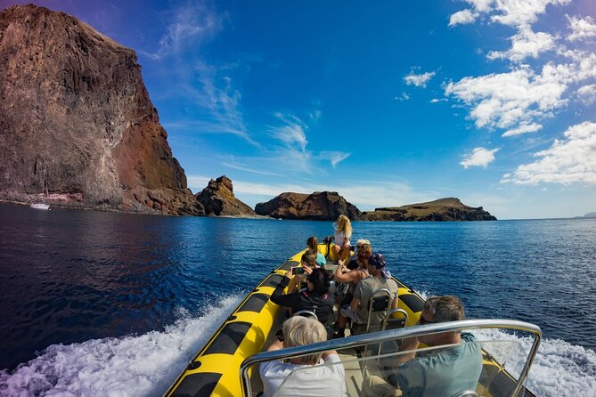 Whale & Dolphin Watching in Madeira - Timing and group size, and why they matter on the water
