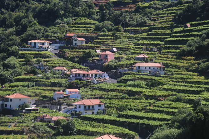 Wine tasting and Jeep Adventure in Madeira's Majestic Countryside - Cabo Girão Cliff Stop: The 20 Minutes That Make It Worth It