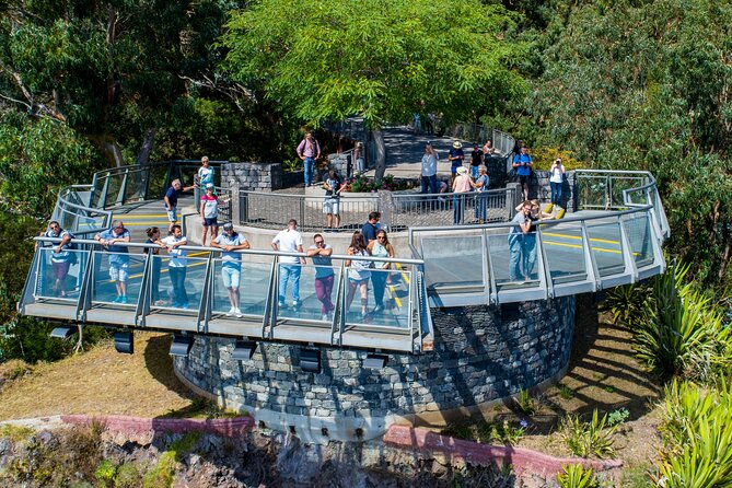 Wine tasting and Jeep Adventure in Madeira's Majestic Countryside - Open-Top 4x4 From Funchal, With Real Small-Group Feel