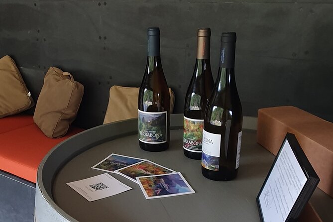 Wine Tasting Experience in Boaventura, Madeira North Coast - UNESCO Laurissilva Forest Makes the Tasting Feel Like Part of Nature