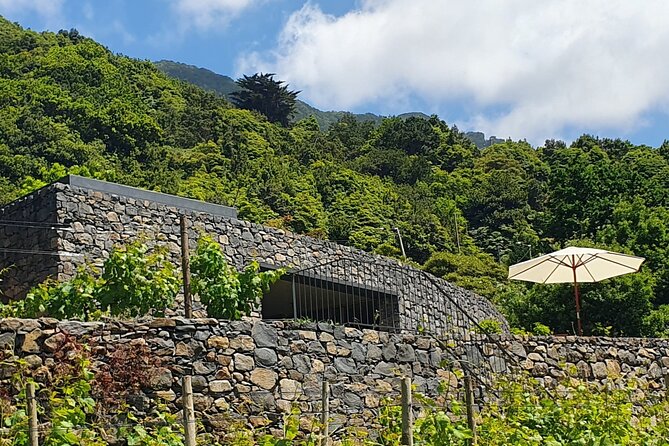 Wine Tasting Experience in Boaventura, Madeira North Coast - Homemade Delicacies Plus the Kind of Garden Details You Remember