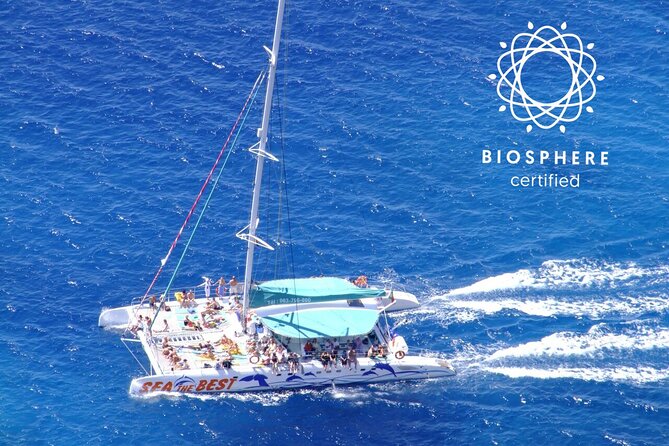Wines Tasting Experience and Skywalk with Dolphin Watching - São Vicente Caves Area: Off-Road Roads and North Island Views