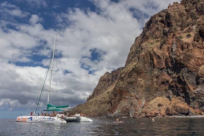 Wines Tasting Experience and Skywalk with Dolphin Watching - Afternoon Dolphin and Whale Watching: What to Expect on the Water